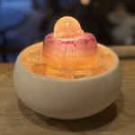 珍品！ゴールデンレインボーフローライトd 会員情報編集フォーム | crystal-fountains